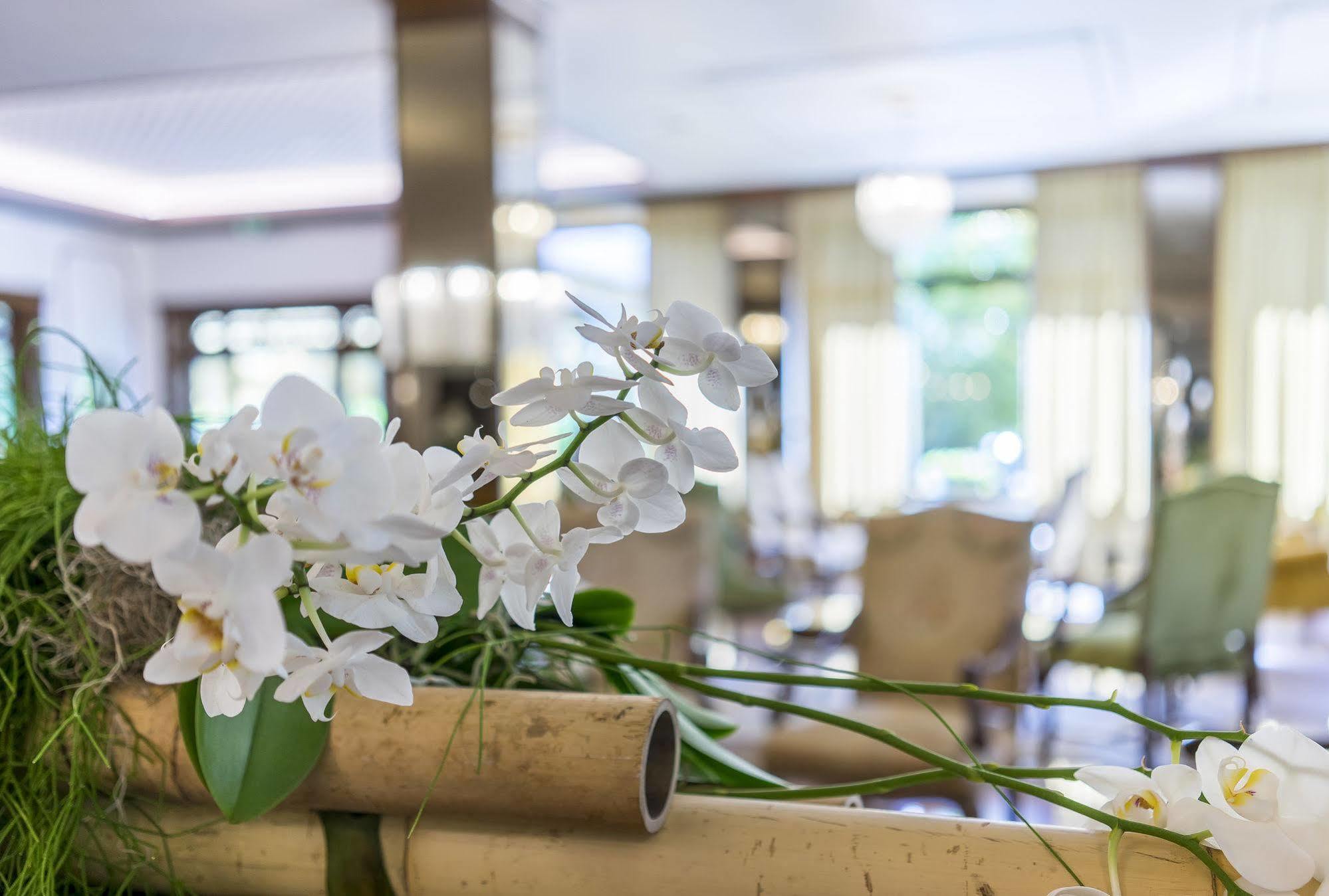 President Terme 5*